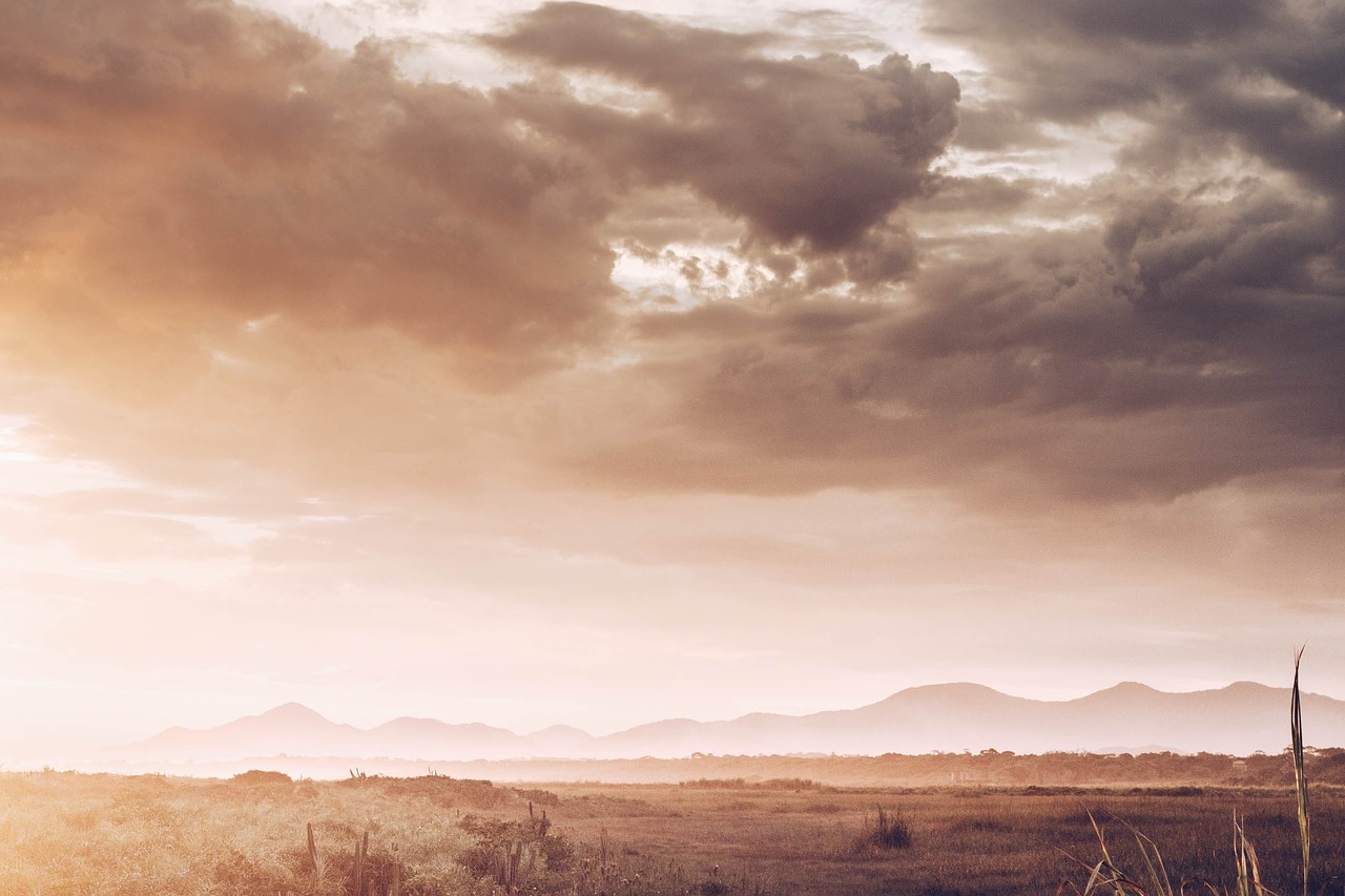 nature landscape field free photo