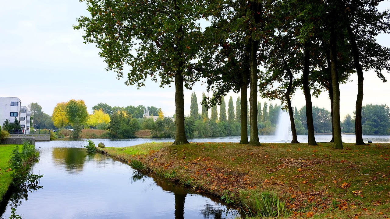 nature landscape trees free photo