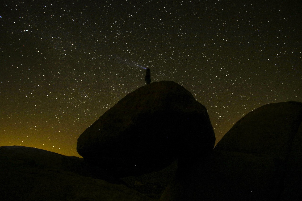 nature landscape dark free photo