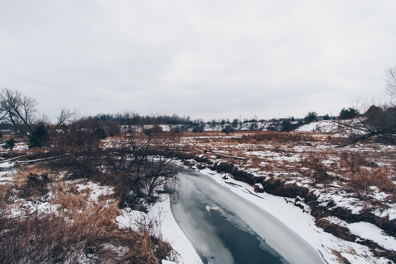 nature landscape snow free photo