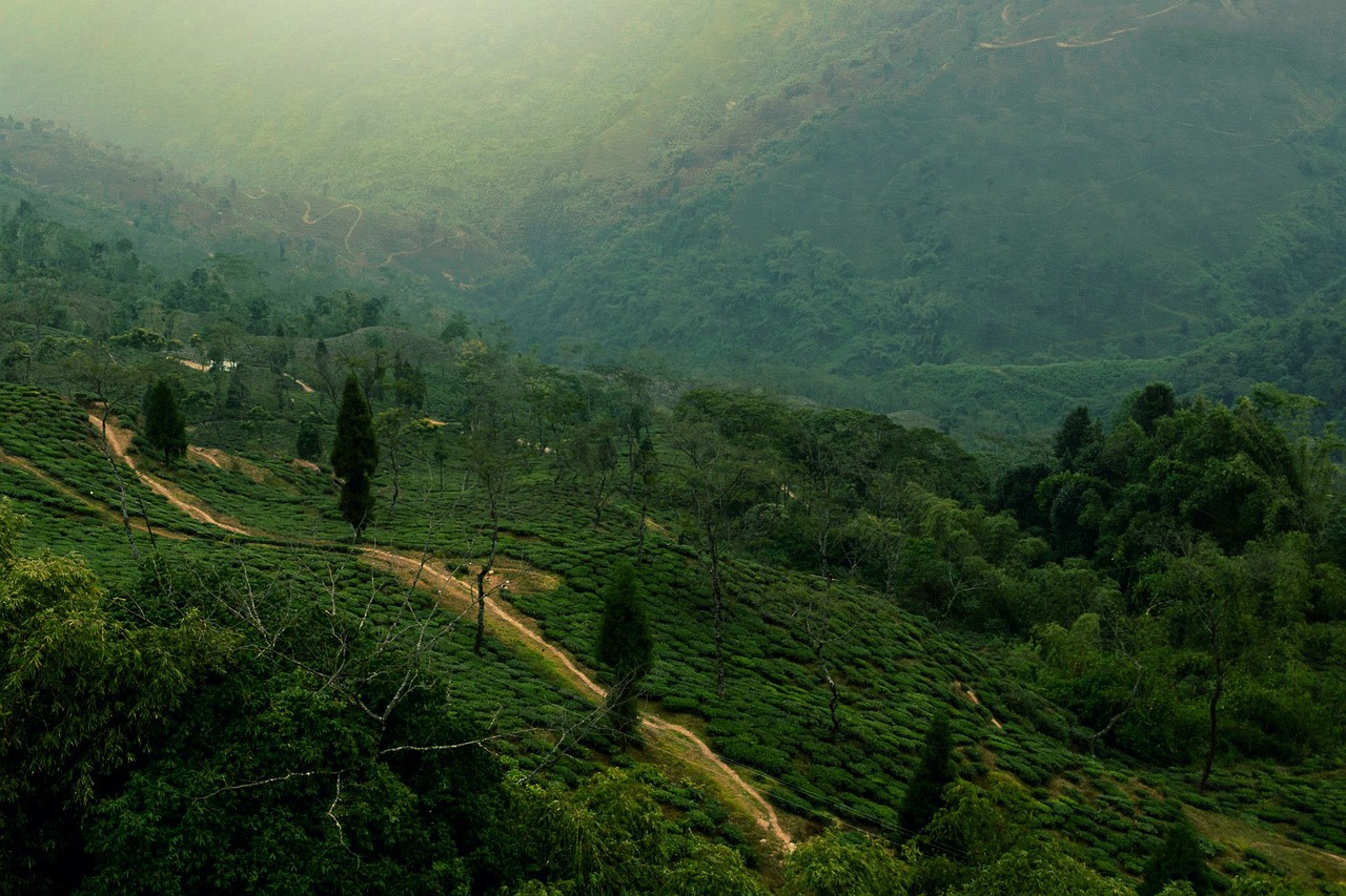 nature landscape aerial free photo