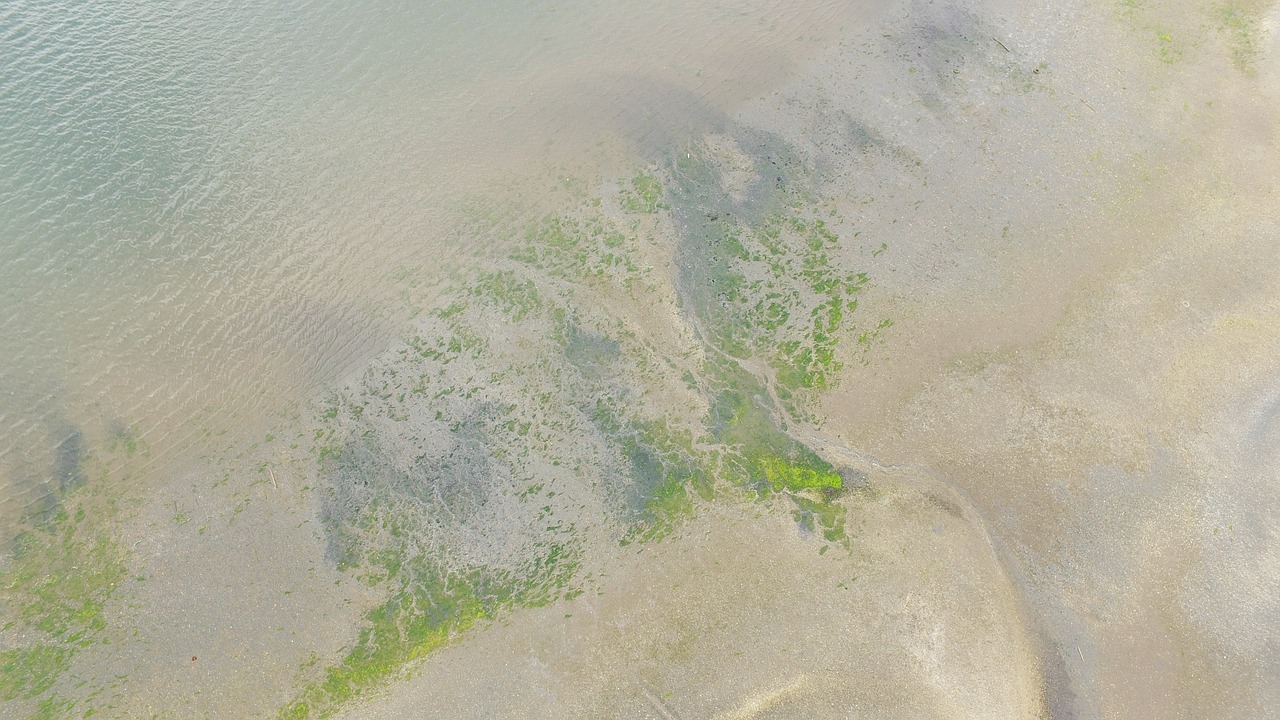 nature aerial water free photo