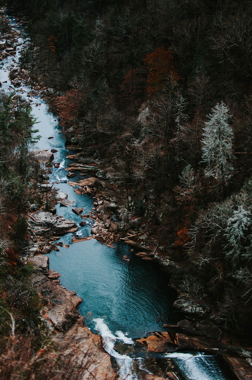 nature water river free photo