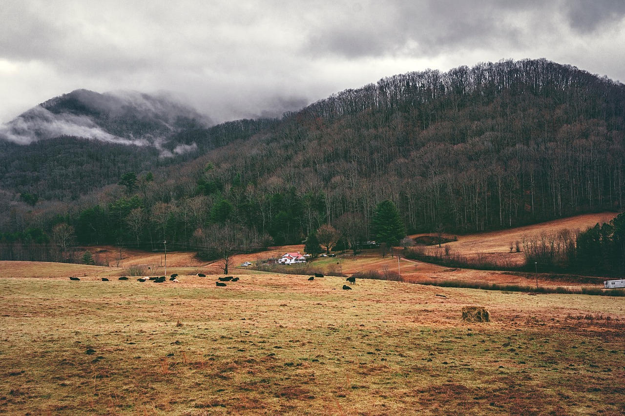 nature landscape mountain free photo