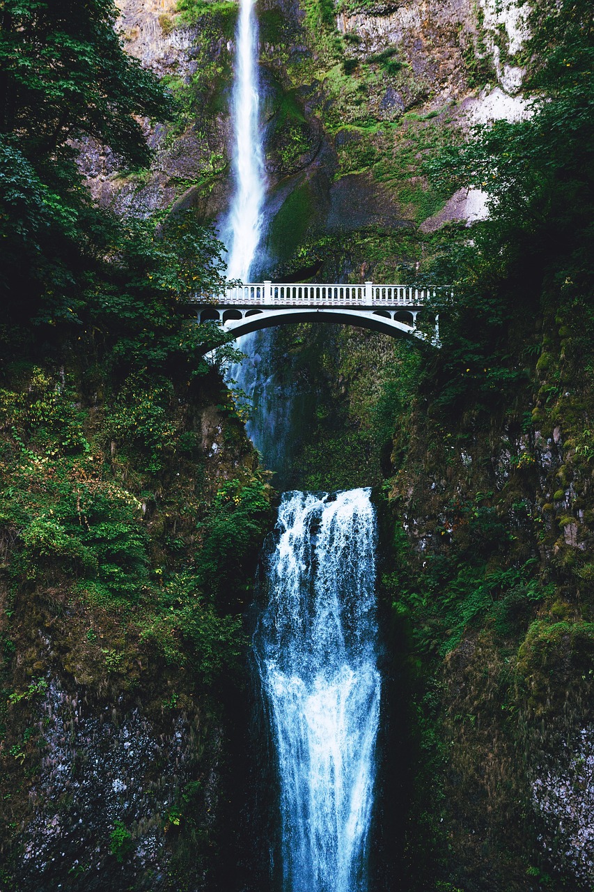 nature infrastructure bridge free photo