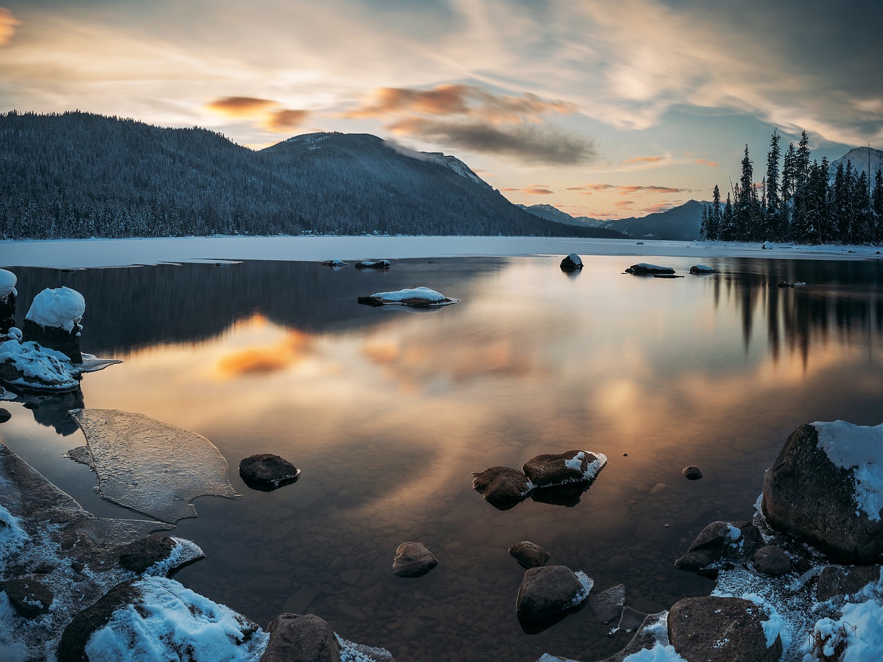 nature landscape trees free photo