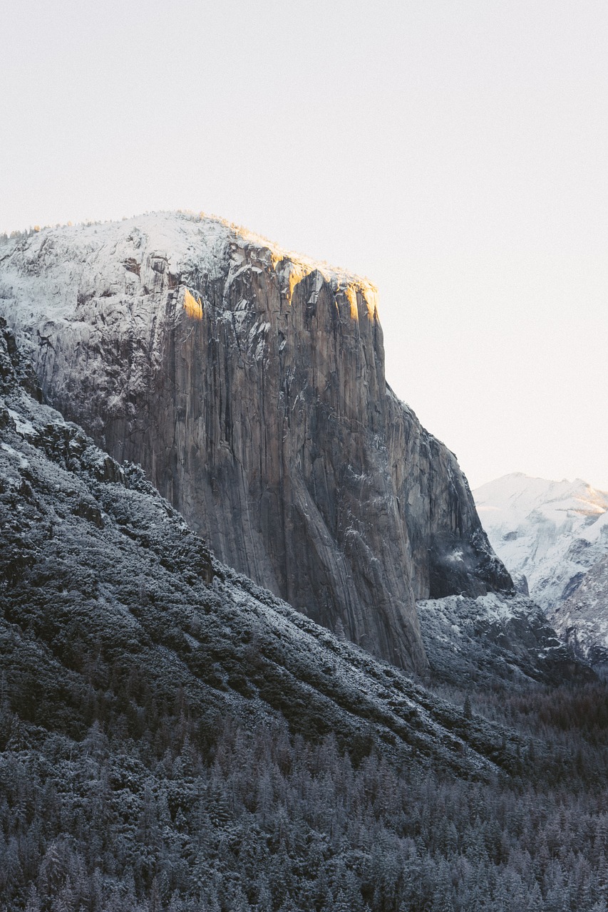 nature trees mountain free photo