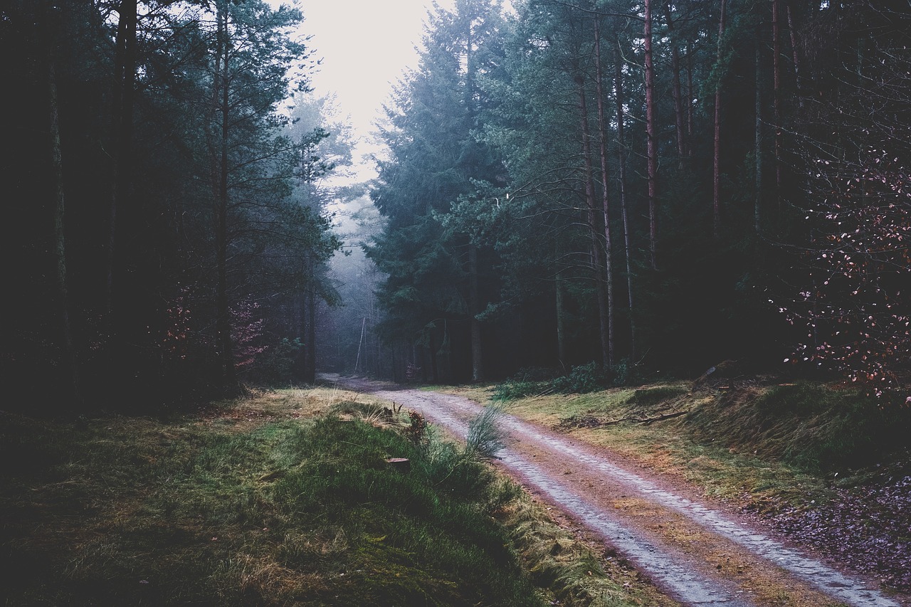 nature landscape trek free photo