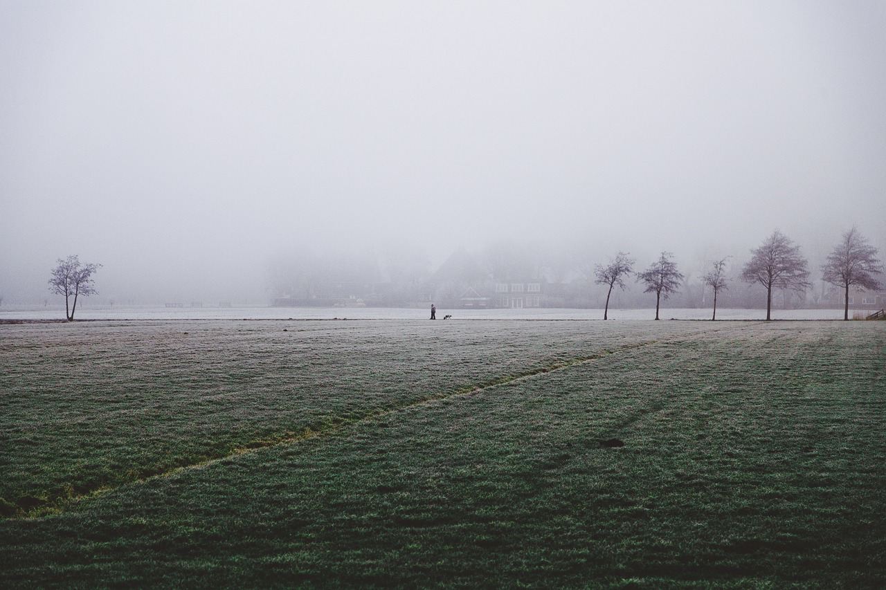 nature landscape grass free photo