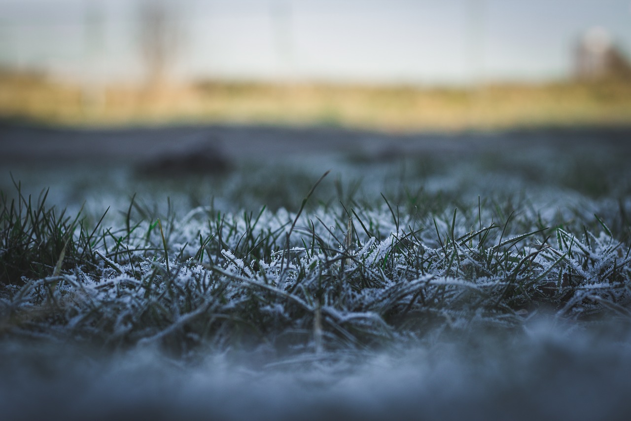 Edit free photo of Nature,grass,landscape,snow,white - needpix.com