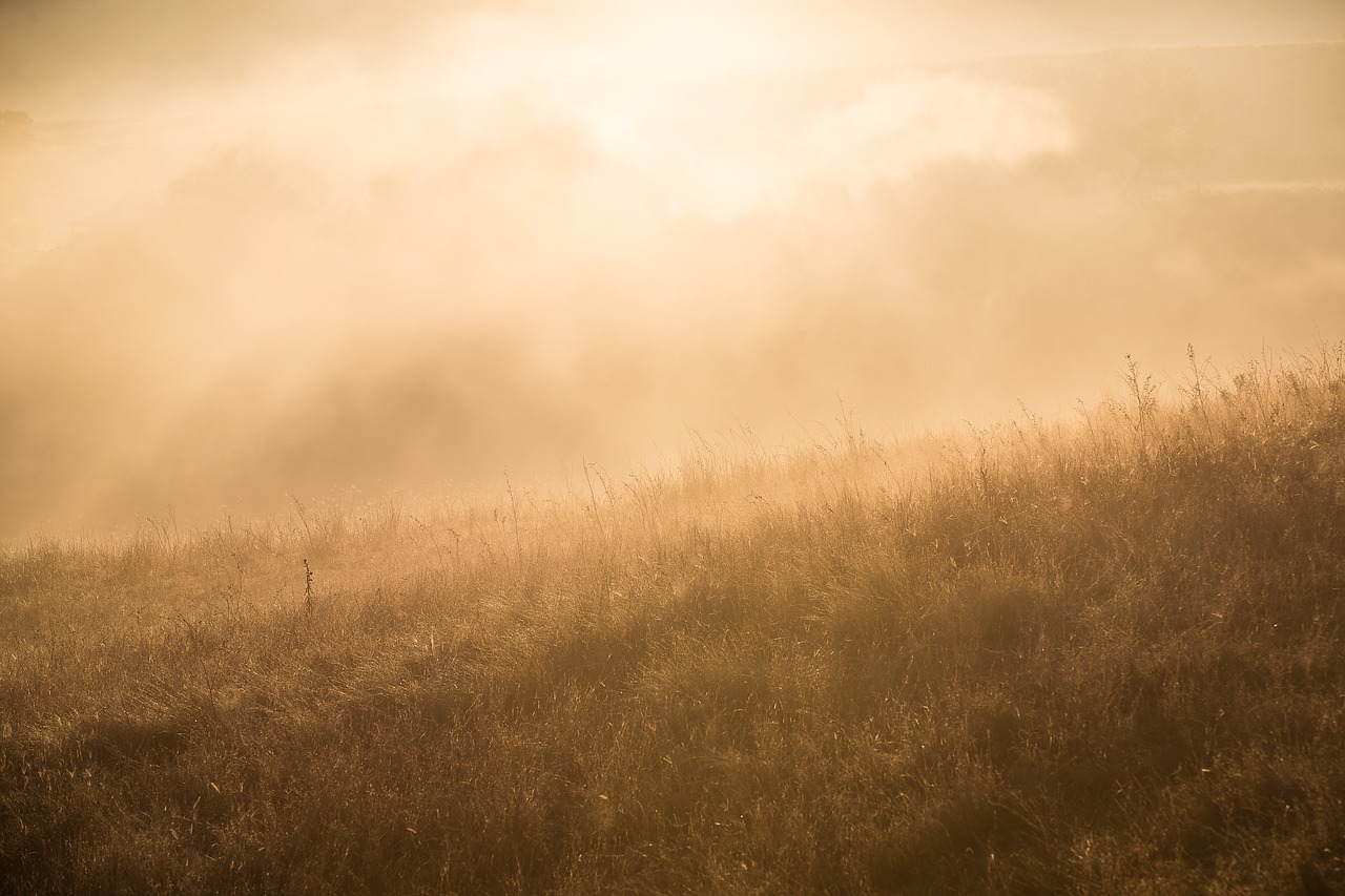 nature landscape grass free photo