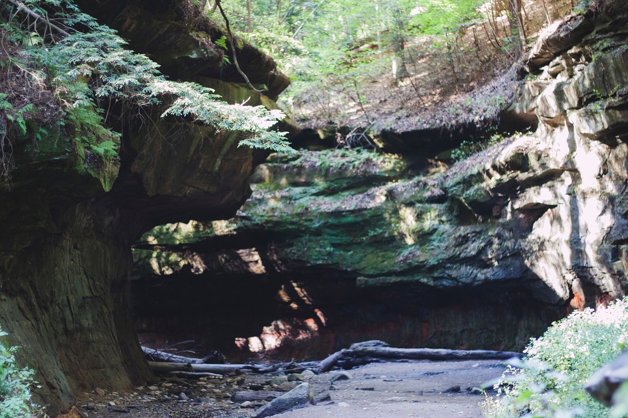 nature rocks river free photo