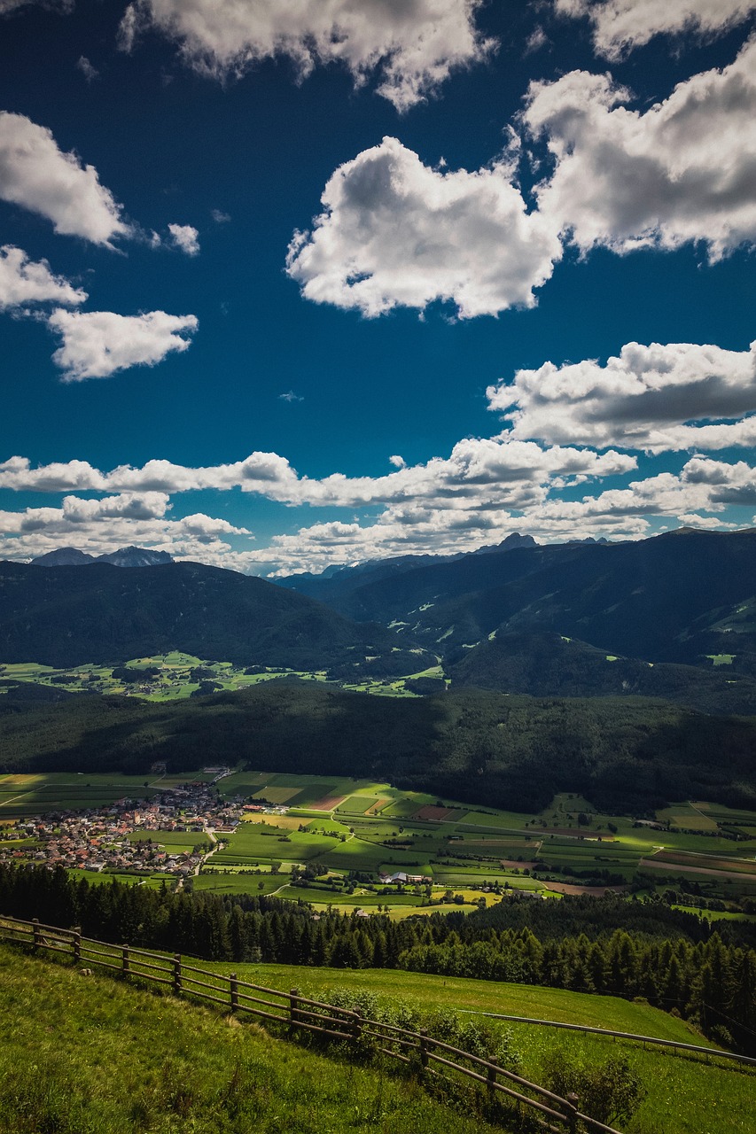 nature aerial green free photo