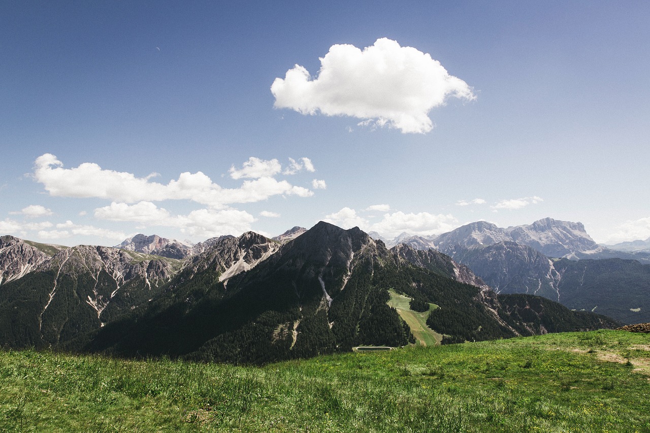 nature landscape grass free photo