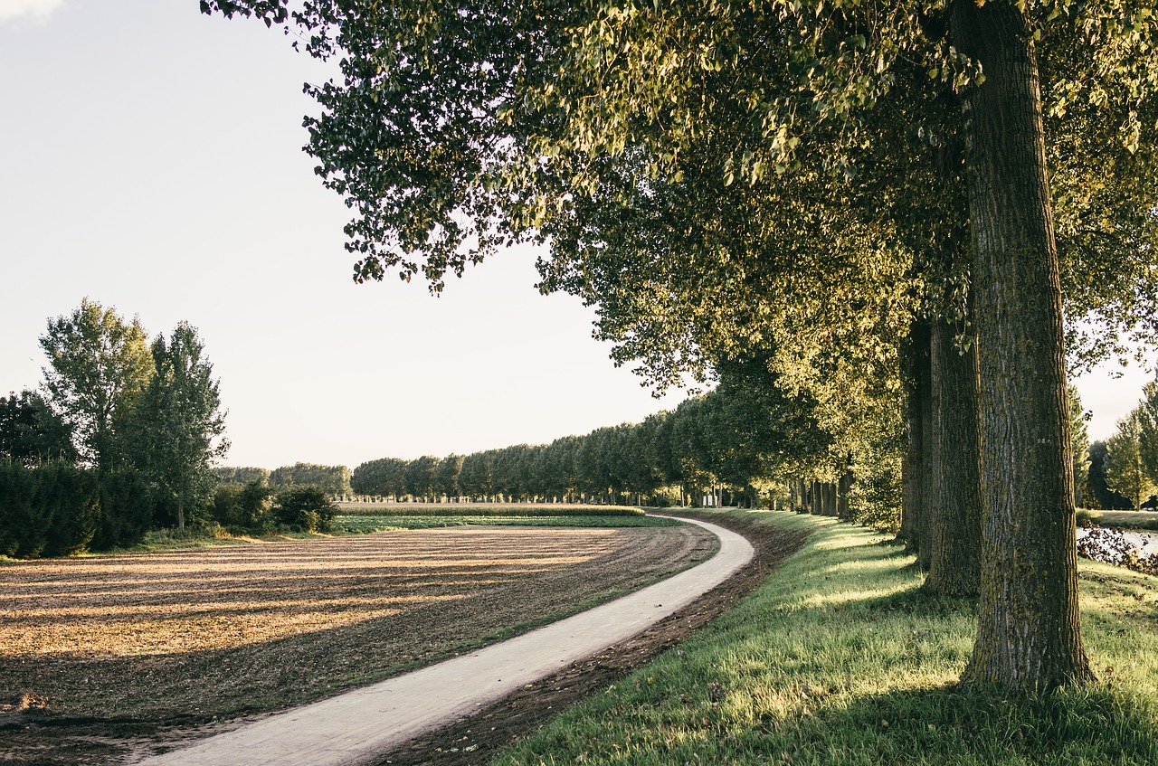 nature landscape sun free photo