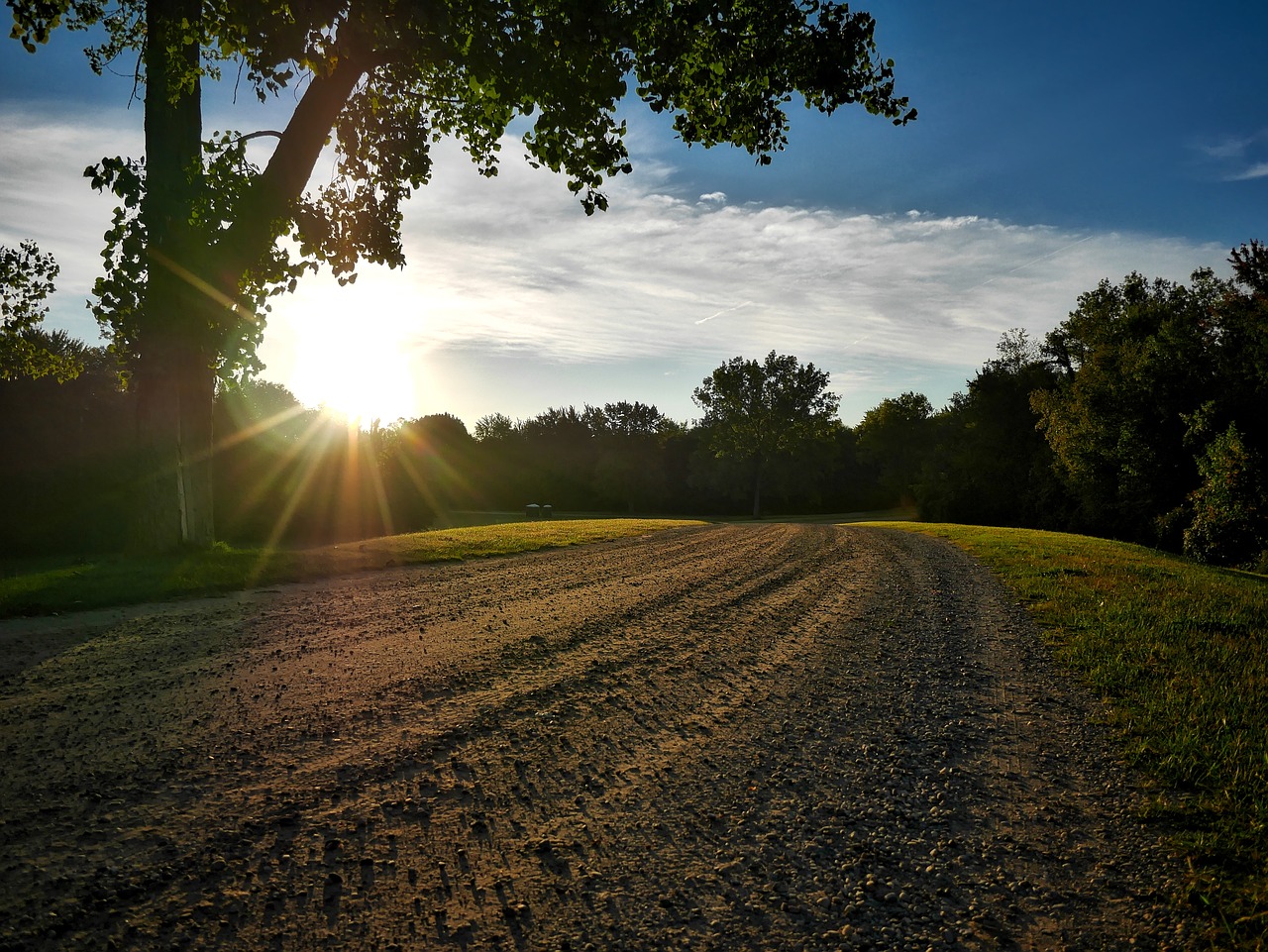 nature green sunrise free photo