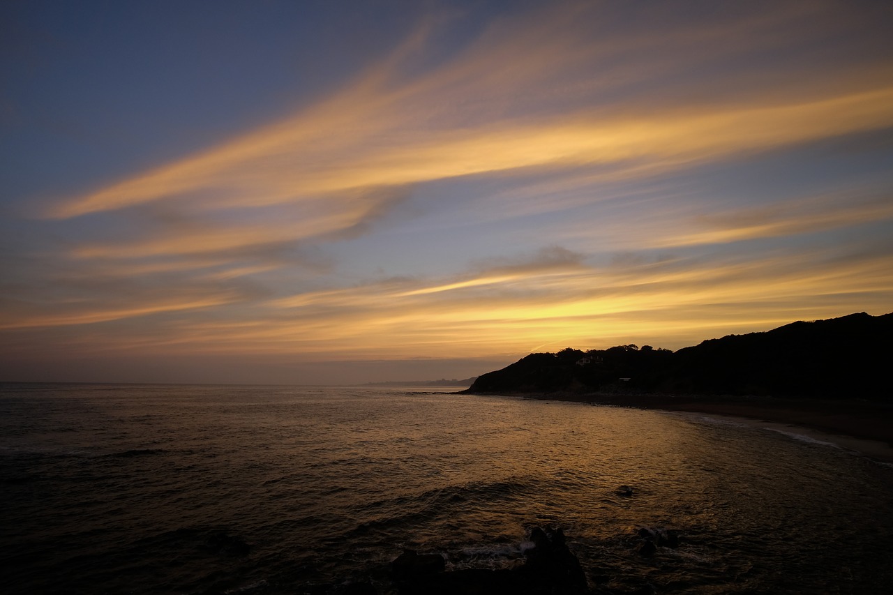 nature coast beach free photo