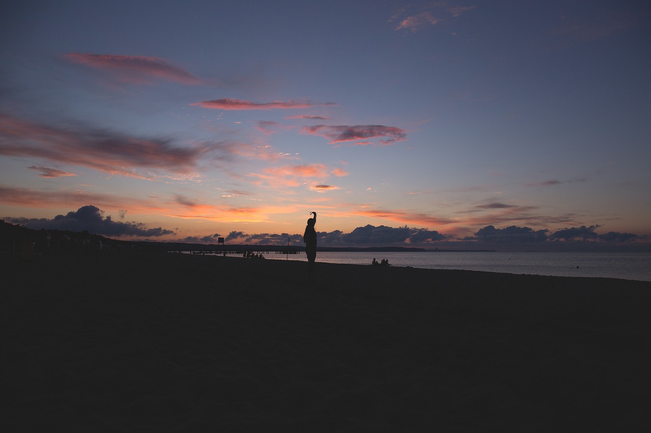 nature beach shore free photo