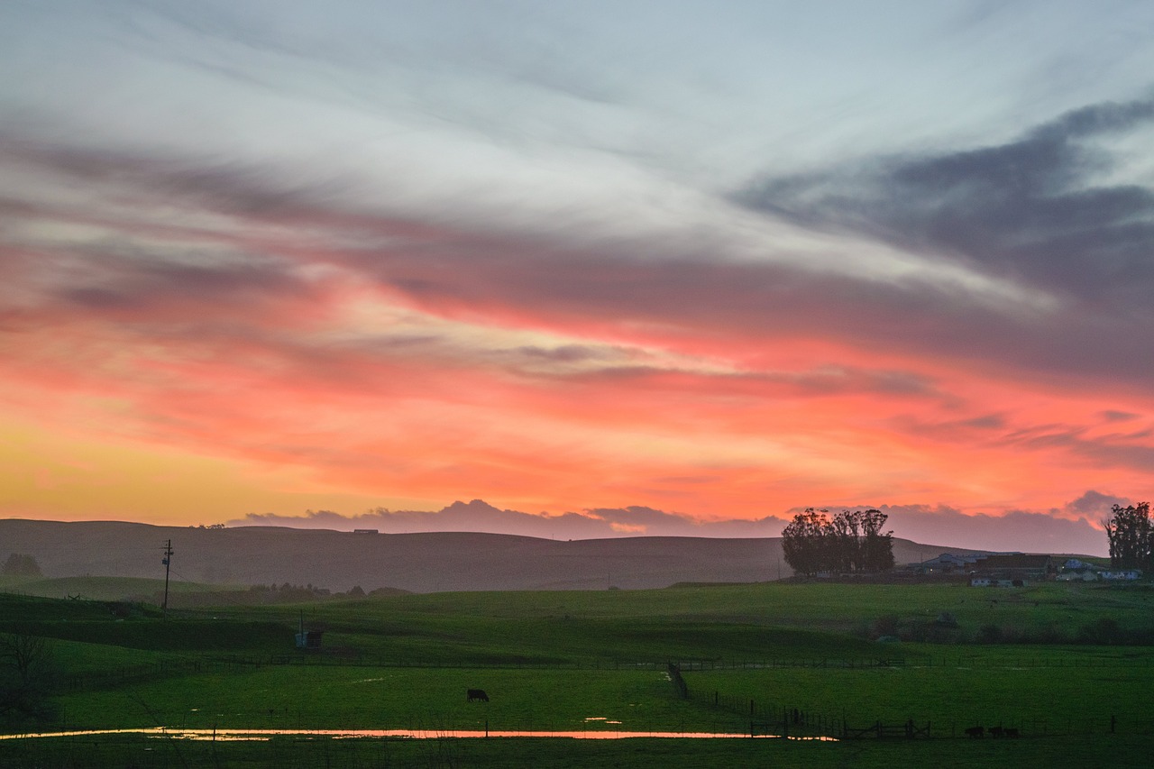 nature landscape prairie free photo