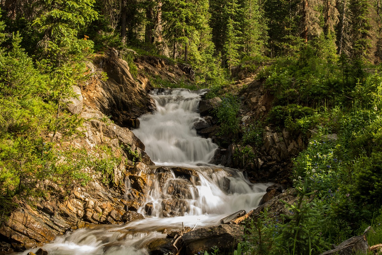 nature falls cascade free photo