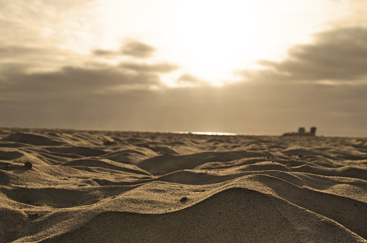 nature beach shore free photo