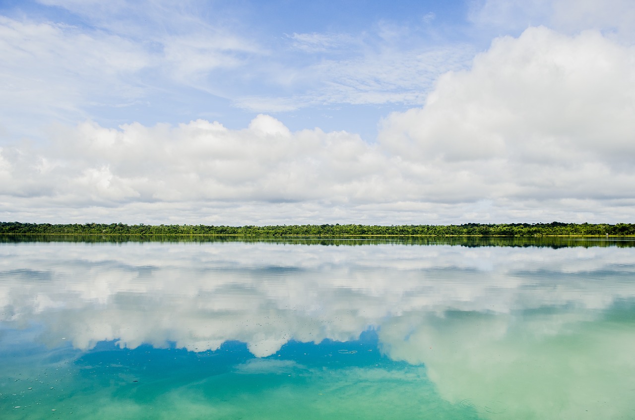 nature landscape coast free photo