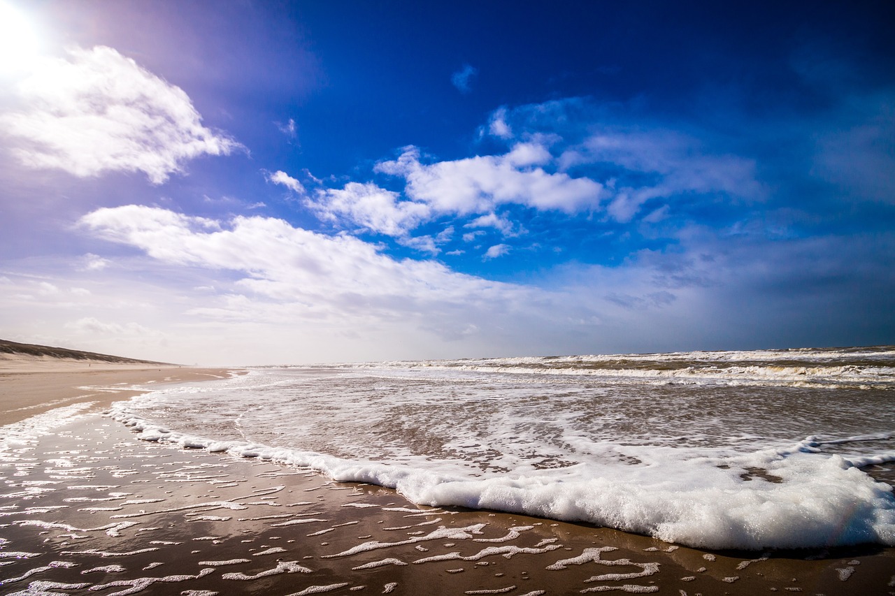 nature coast beach free photo