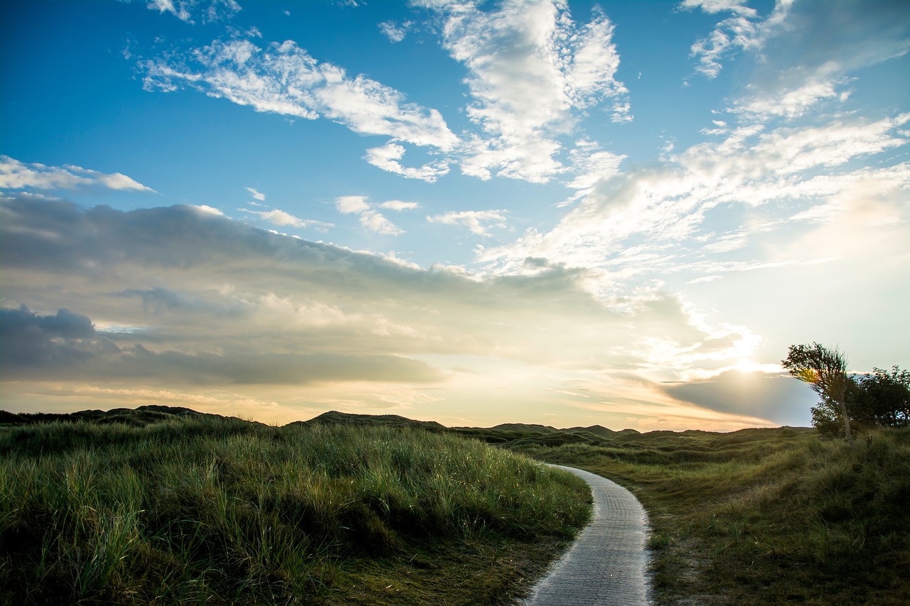 nature landscape paths free photo