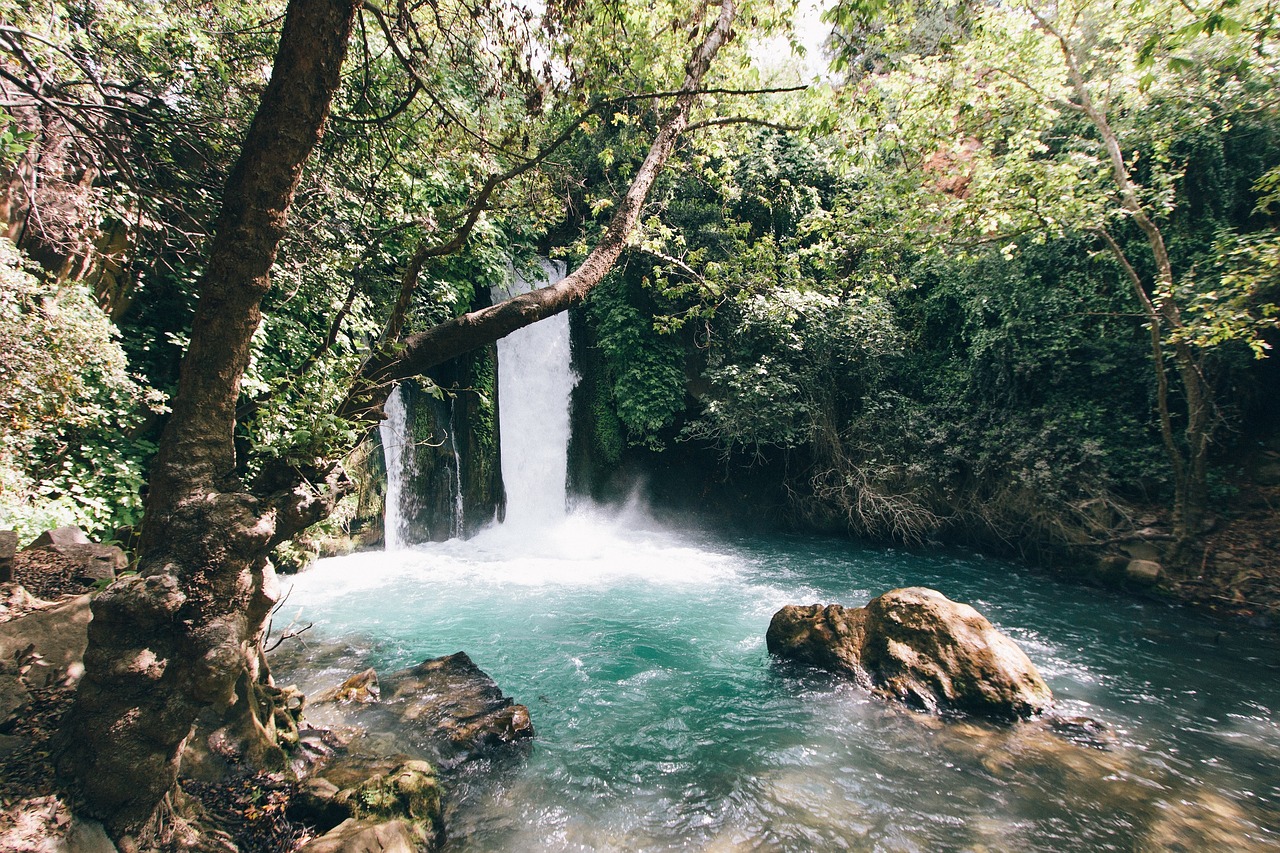 nature water waterfalls free photo