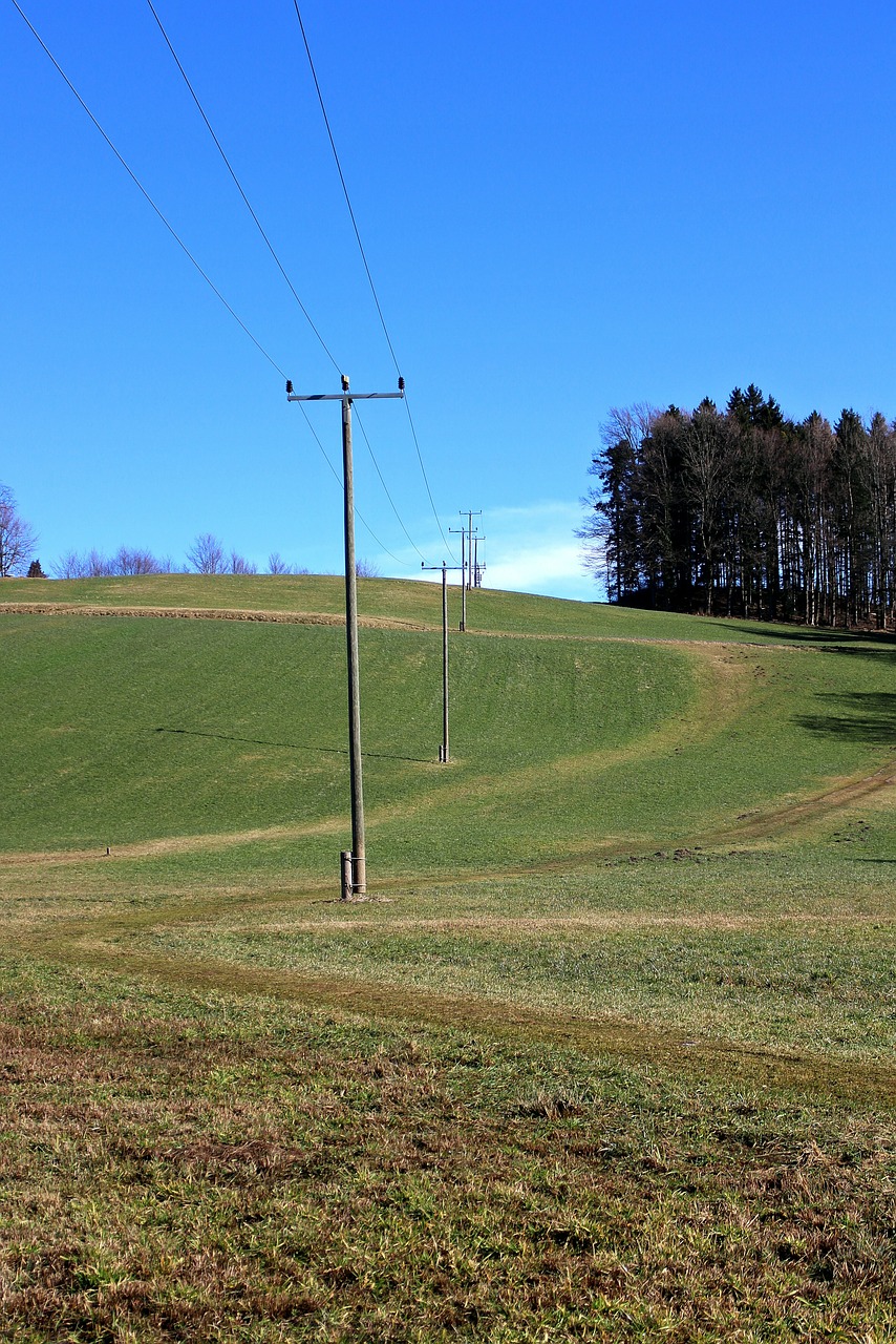 nature power line electricity free photo