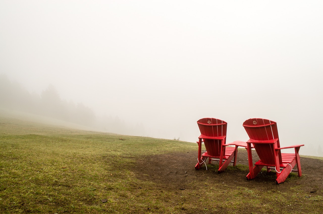 nature grass fog free photo