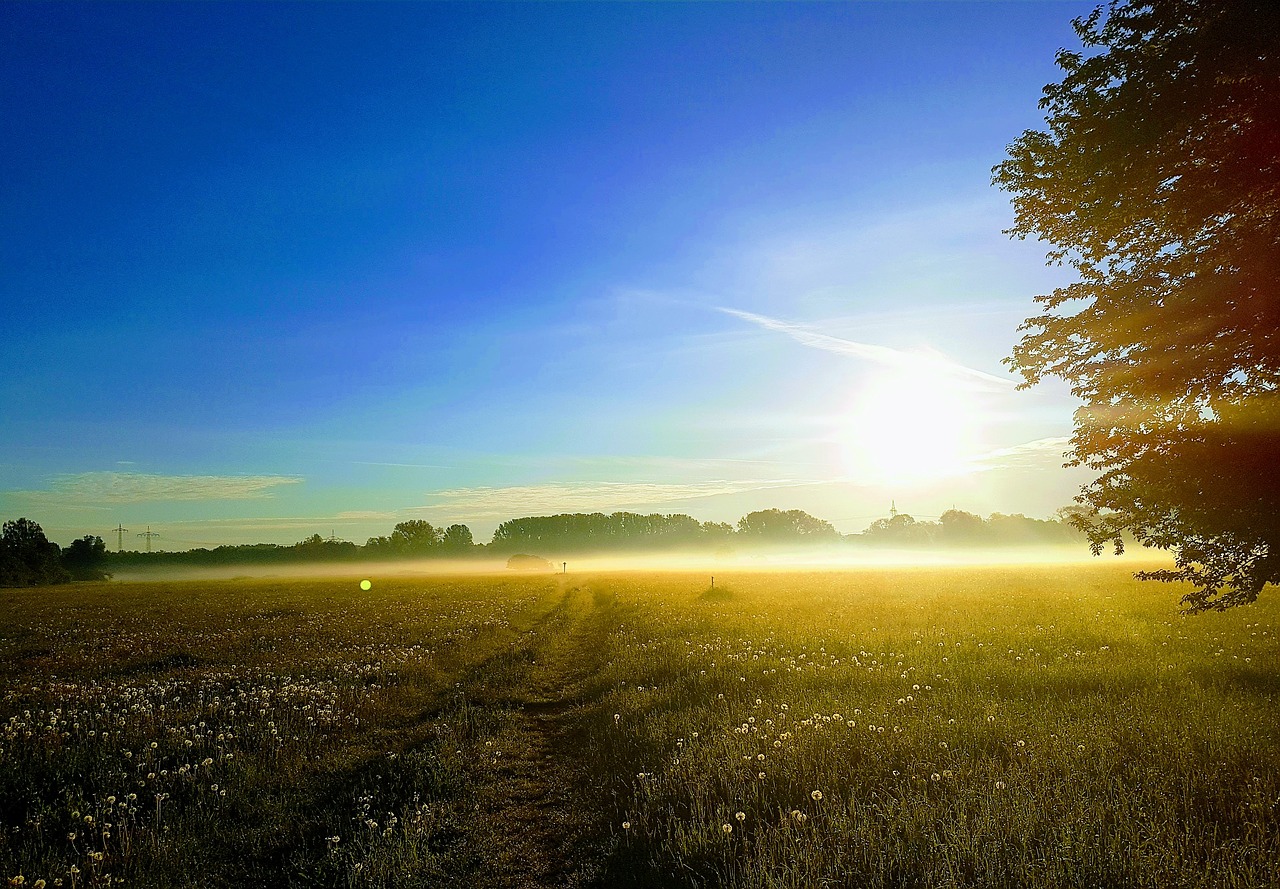 nature fog landscape free photo