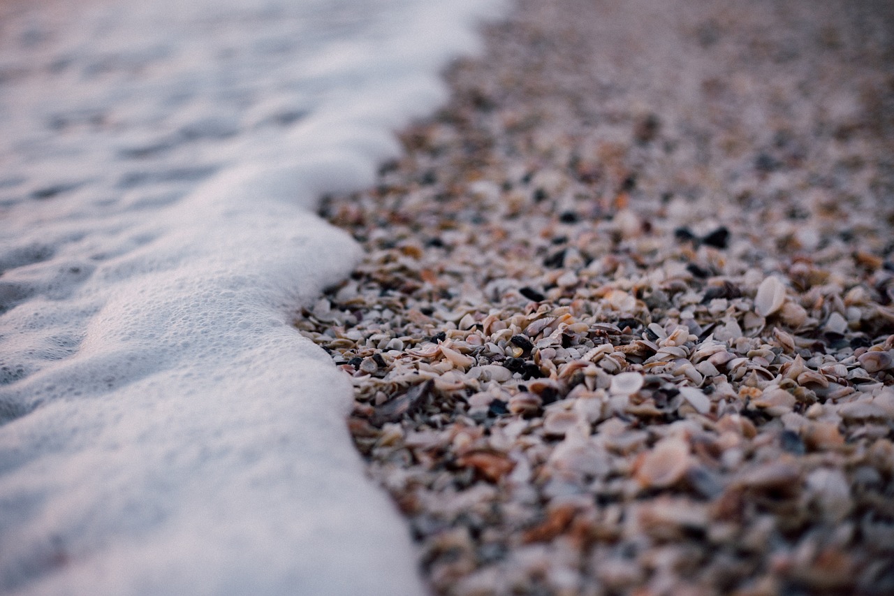 nature coast beach free photo