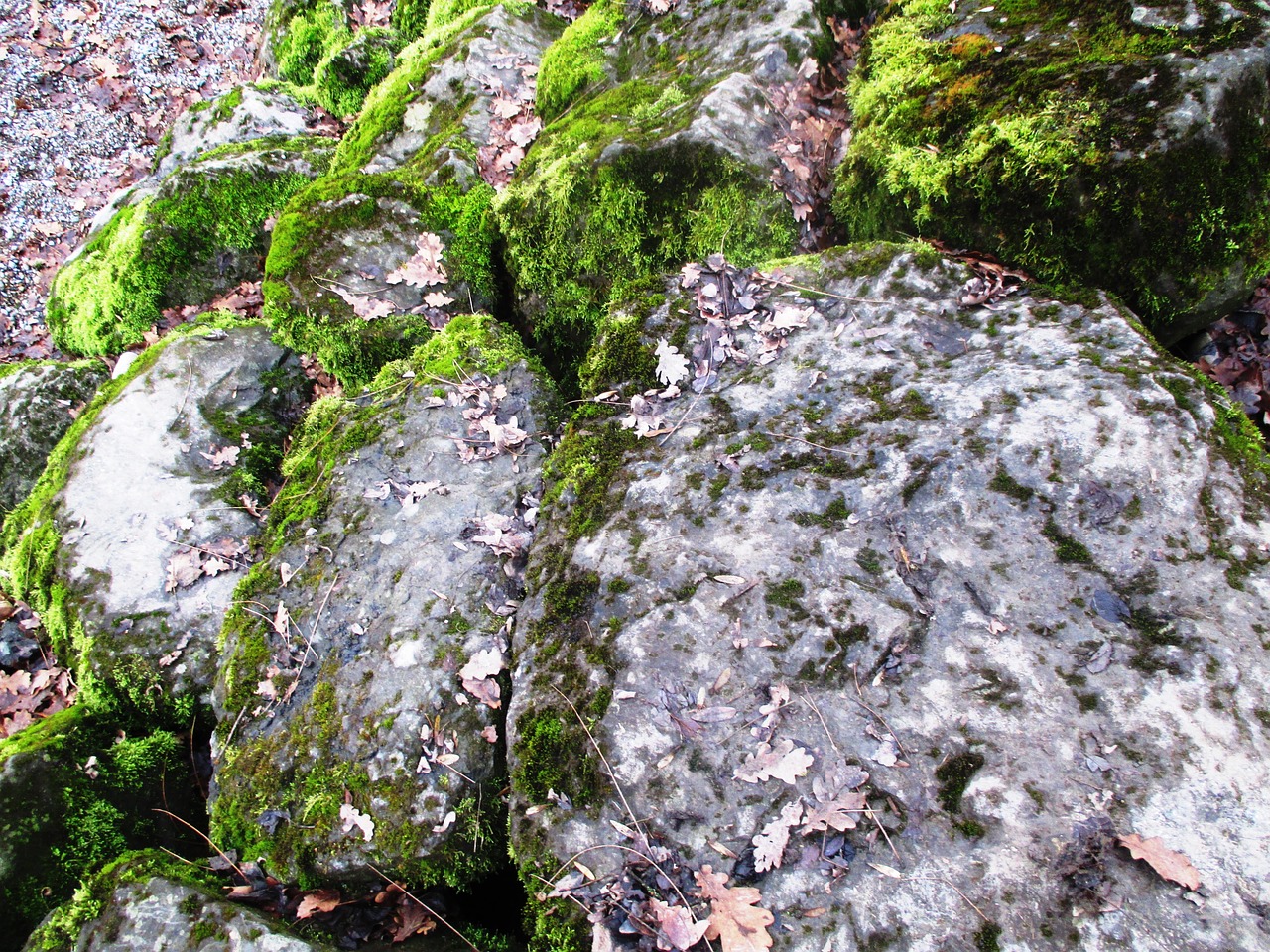 nature stones shore stones free photo