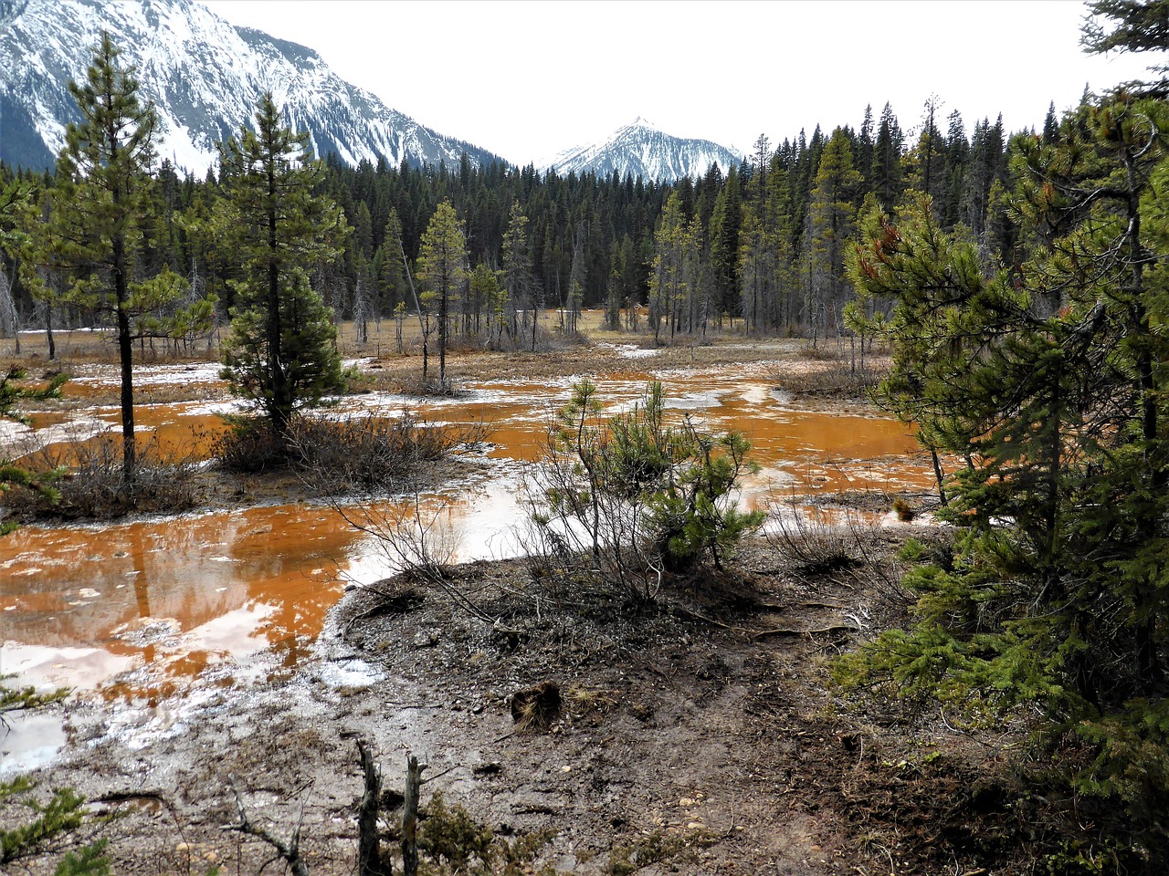 nature landscape mud free photo