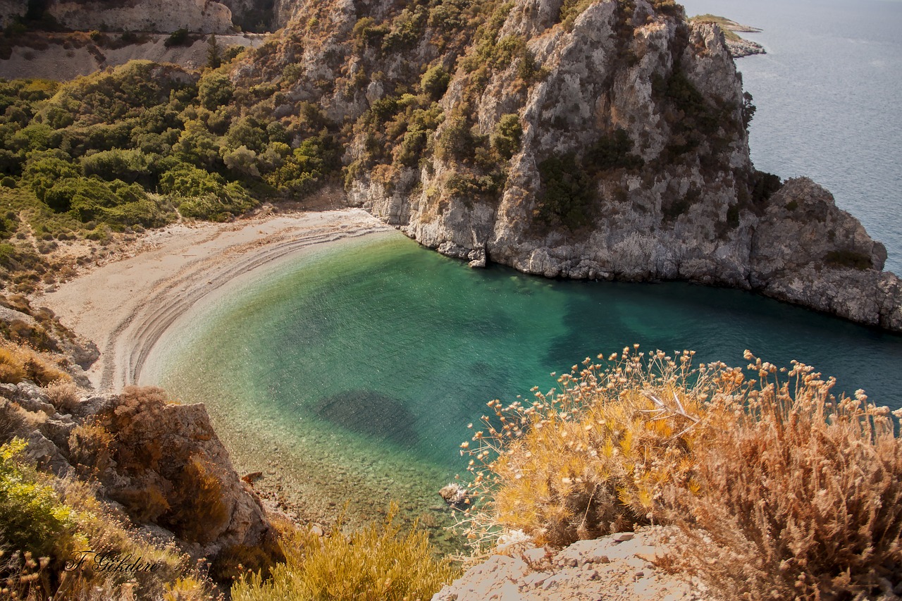 nature peace beach free photo