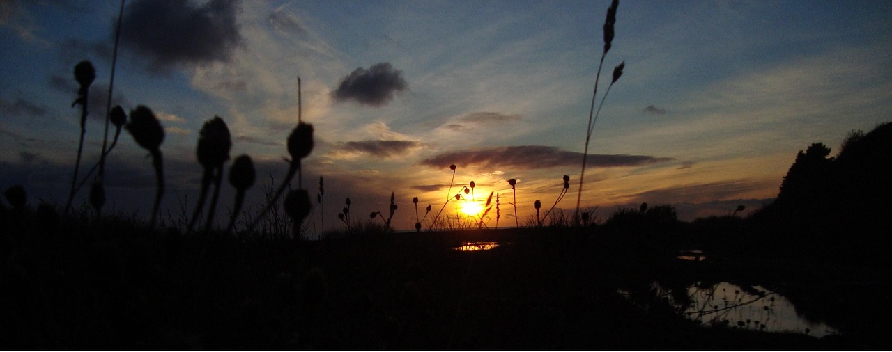 nature beach sunset free photo