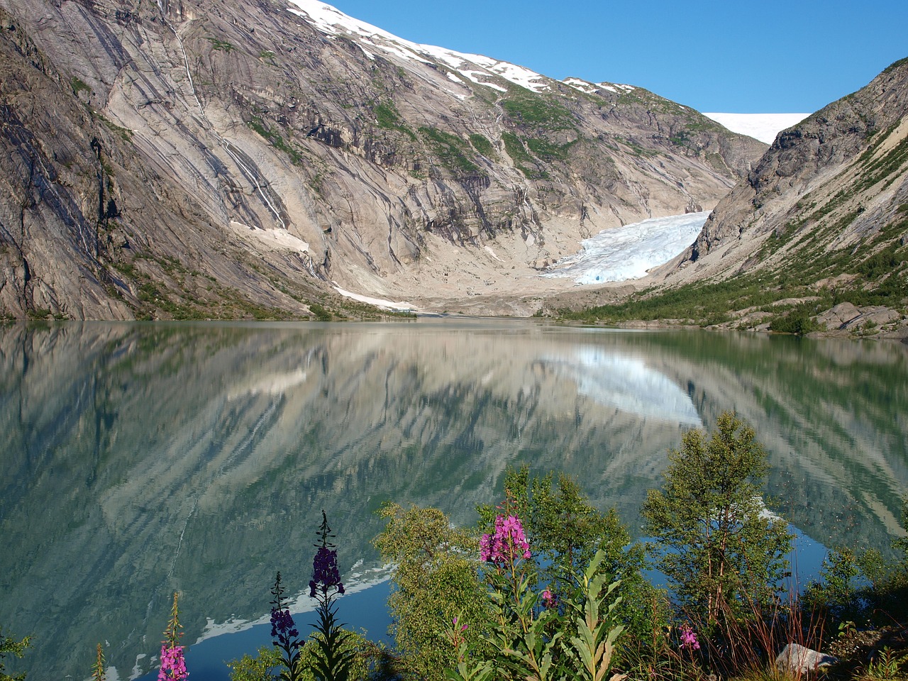 nature glacier norway free photo