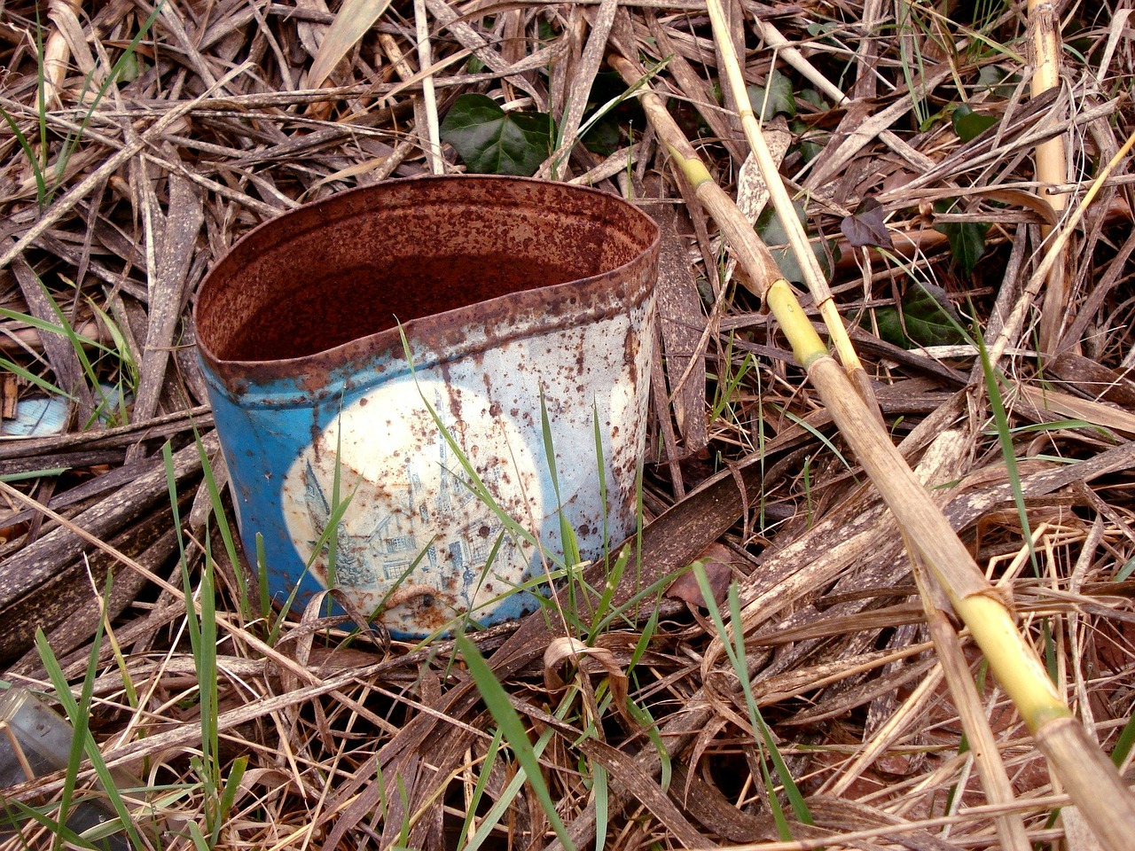 nature box rusty free photo