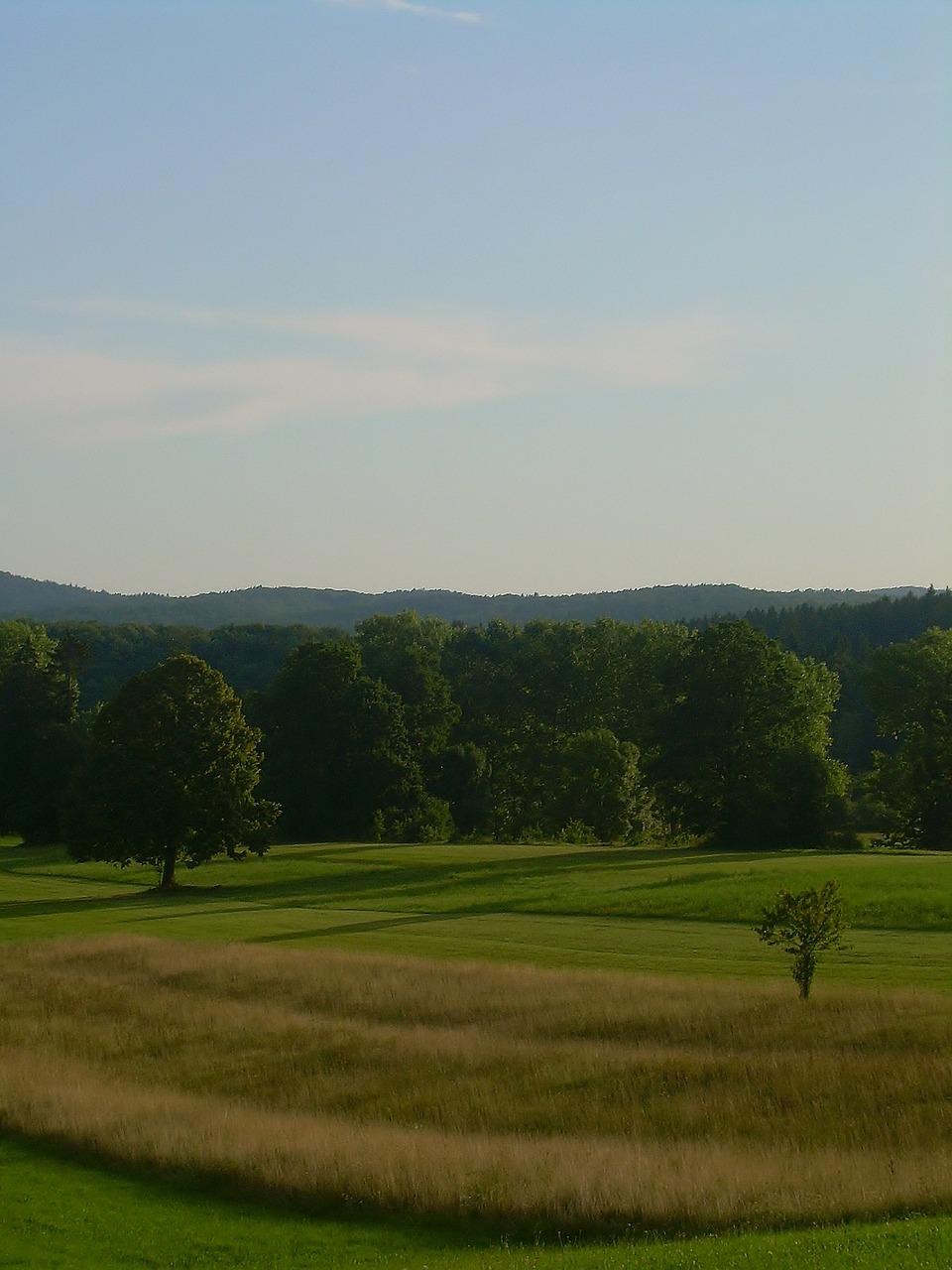 nature summer field free photo