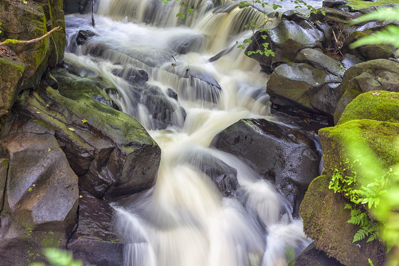 nature river landscape free photo