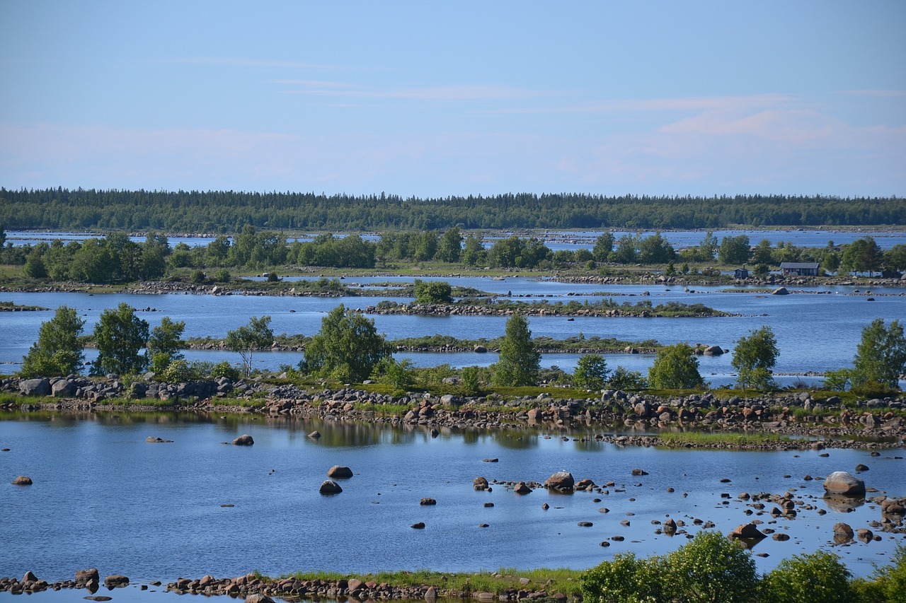 nature summer seaside free photo