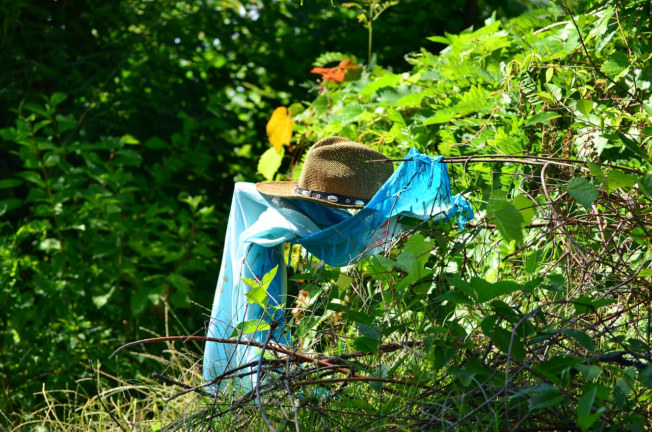 nature hat summer free photo