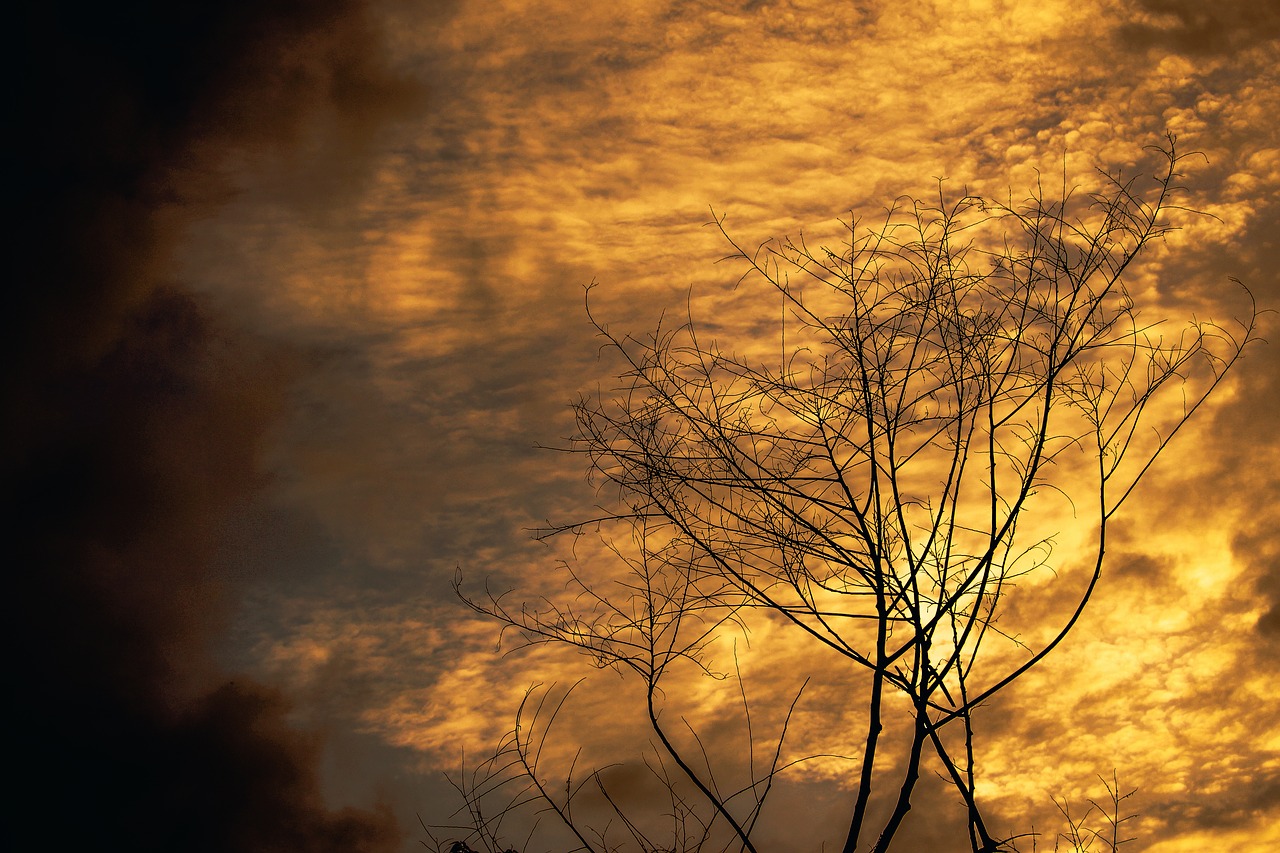 nature sky alone free photo