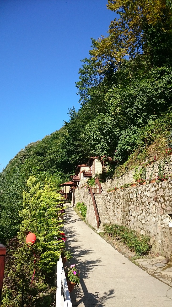 nature summer houses in the forest natural village free photo