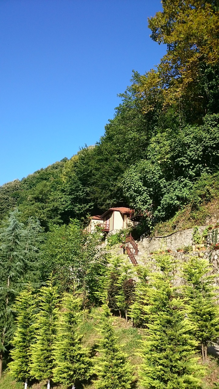 nature summer house in the forest natural village free photo