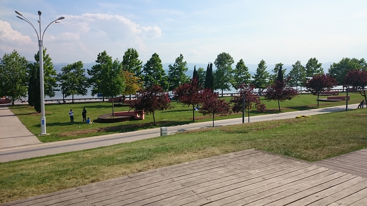 nature trees seaside park free photo