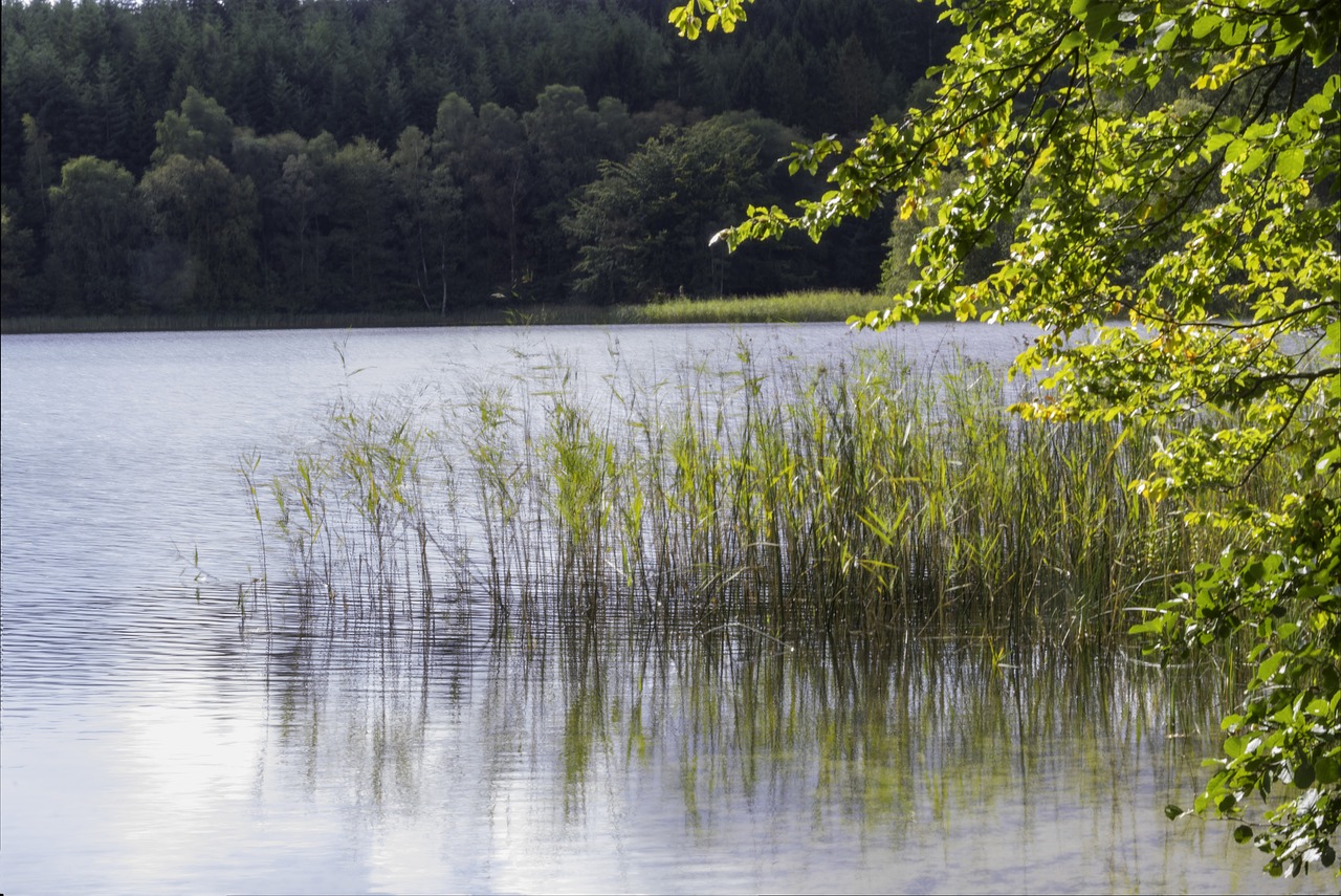 nature lake view free photo