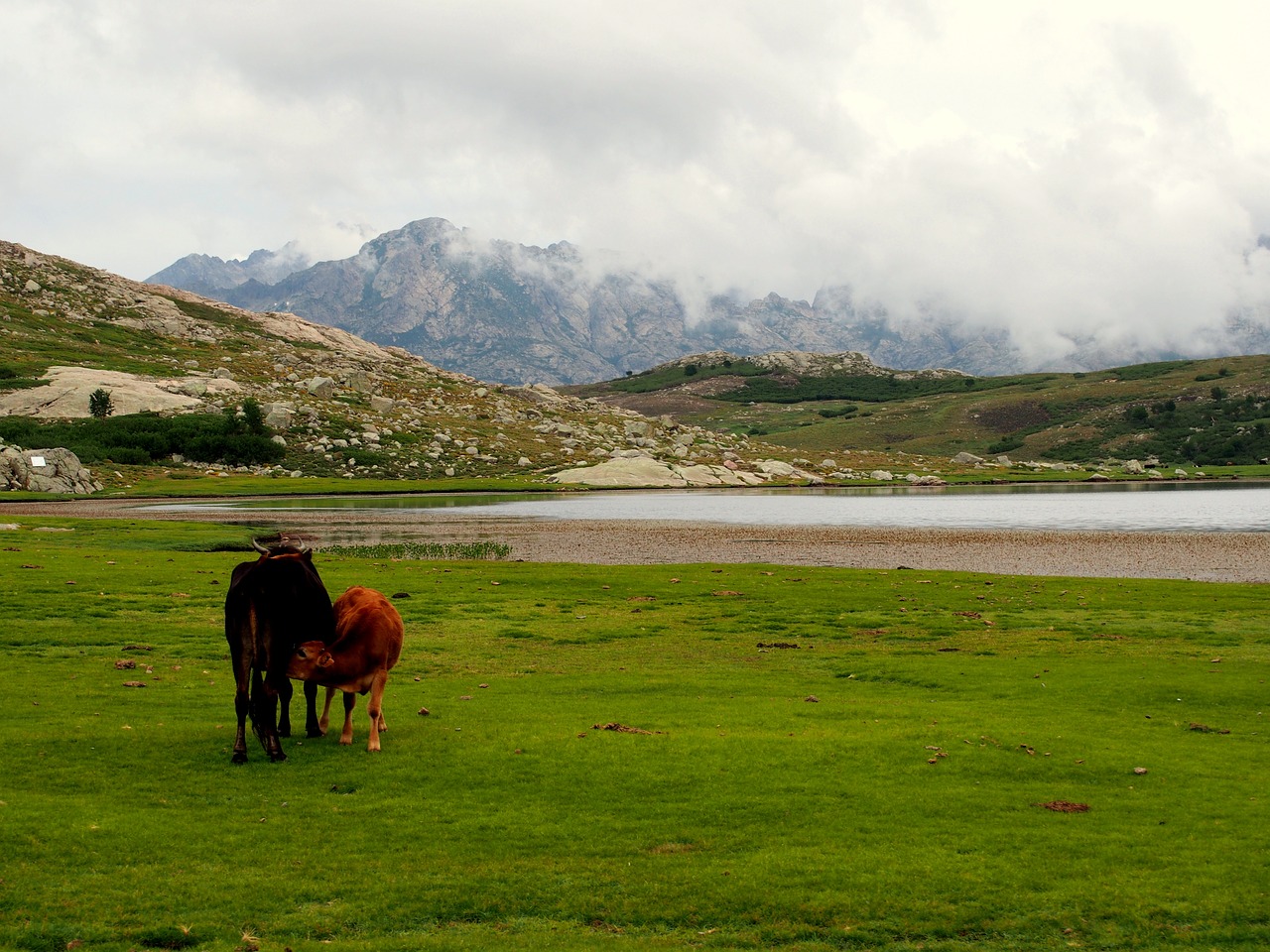 nature corsica france free photo