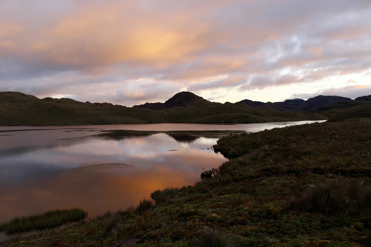 nature lake lagoon free photo